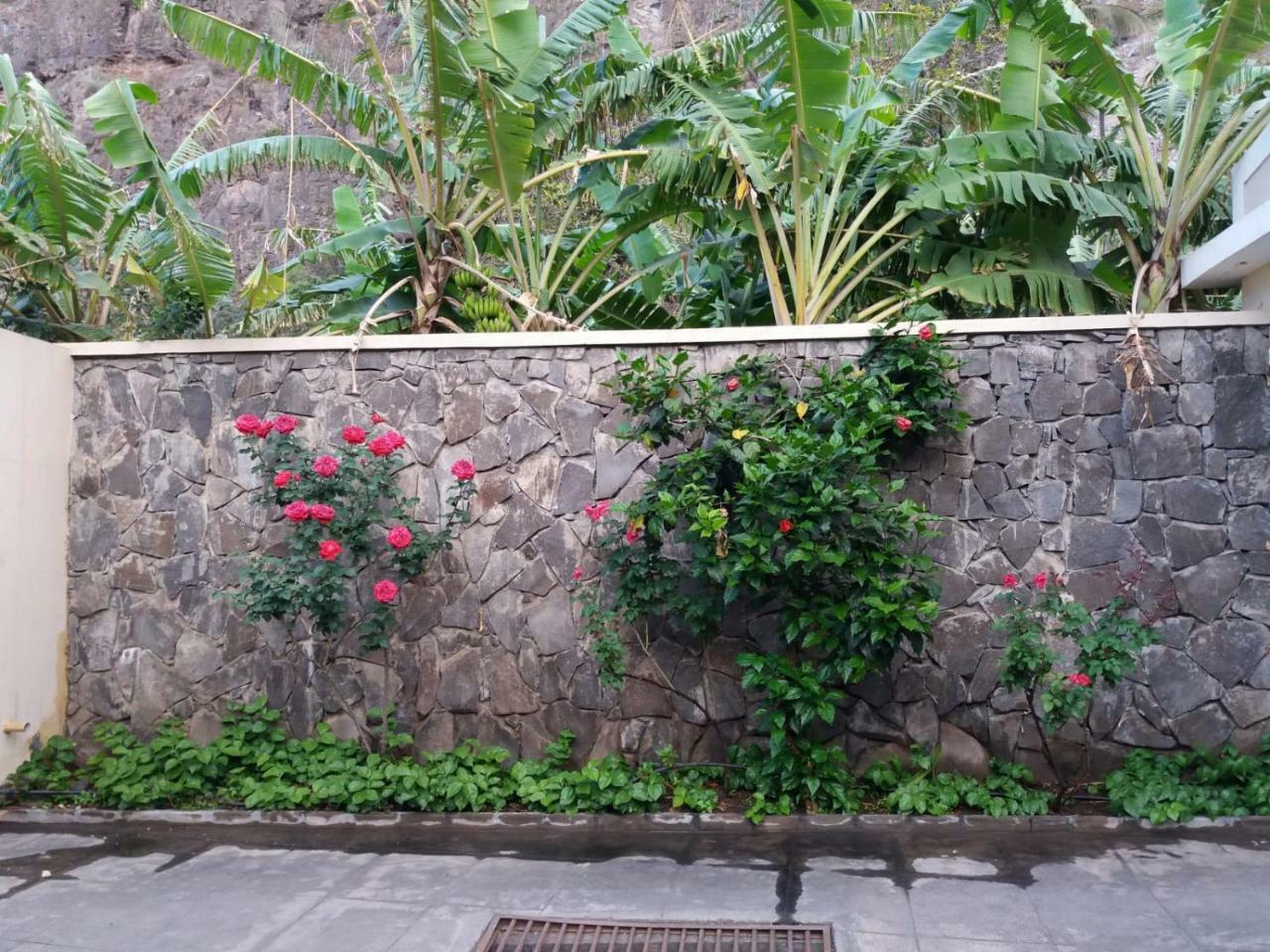 Ribeira Grande Country House Cha de Arroz Eksteriør bilde