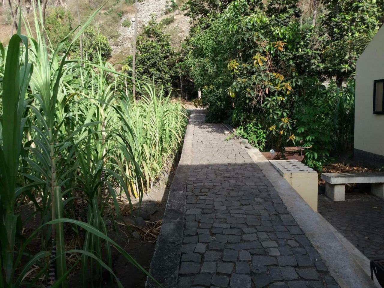 Ribeira Grande Country House Cha de Arroz Eksteriør bilde
