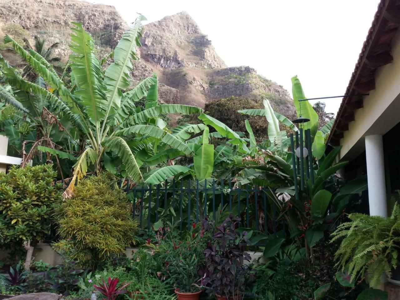 Ribeira Grande Country House Cha de Arroz Eksteriør bilde